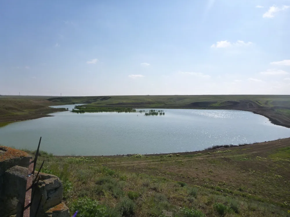 Кривая