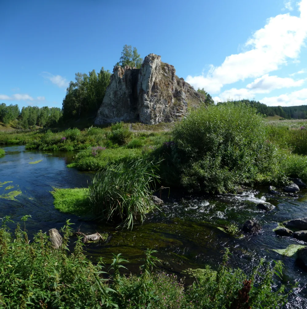 Кашинское городище