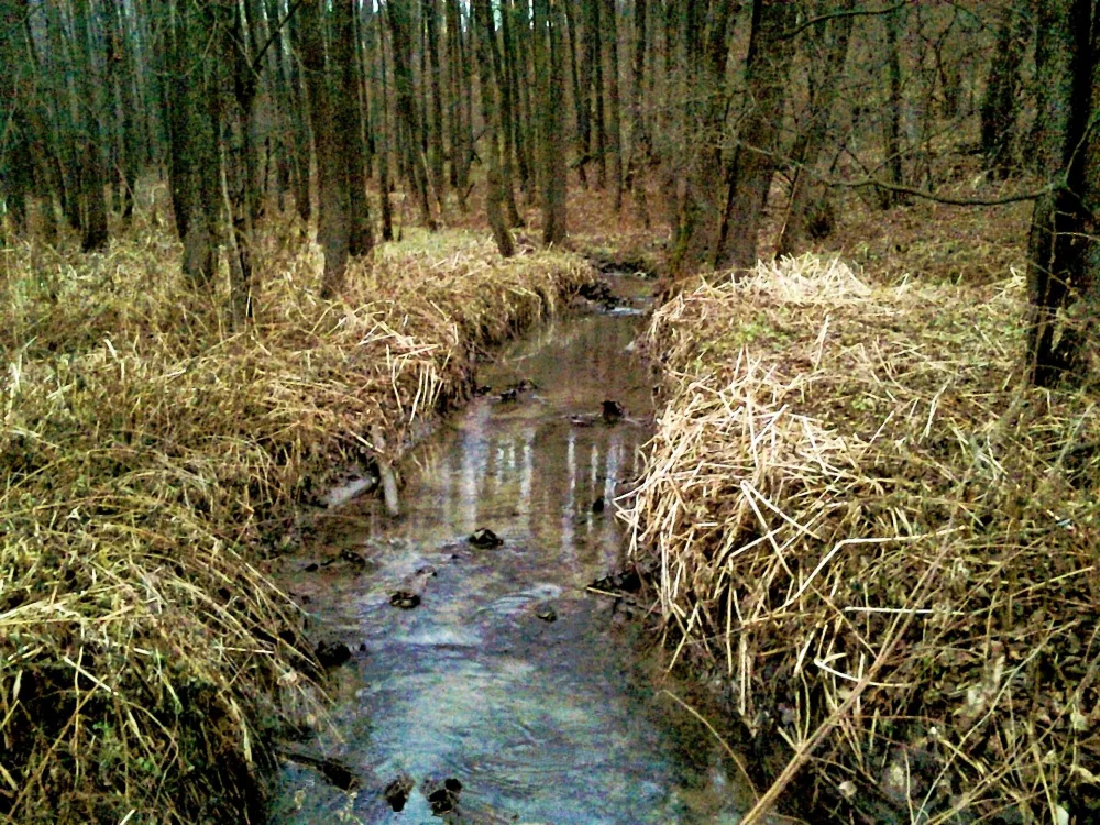 Лопенка