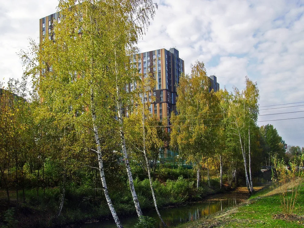 Борзовка