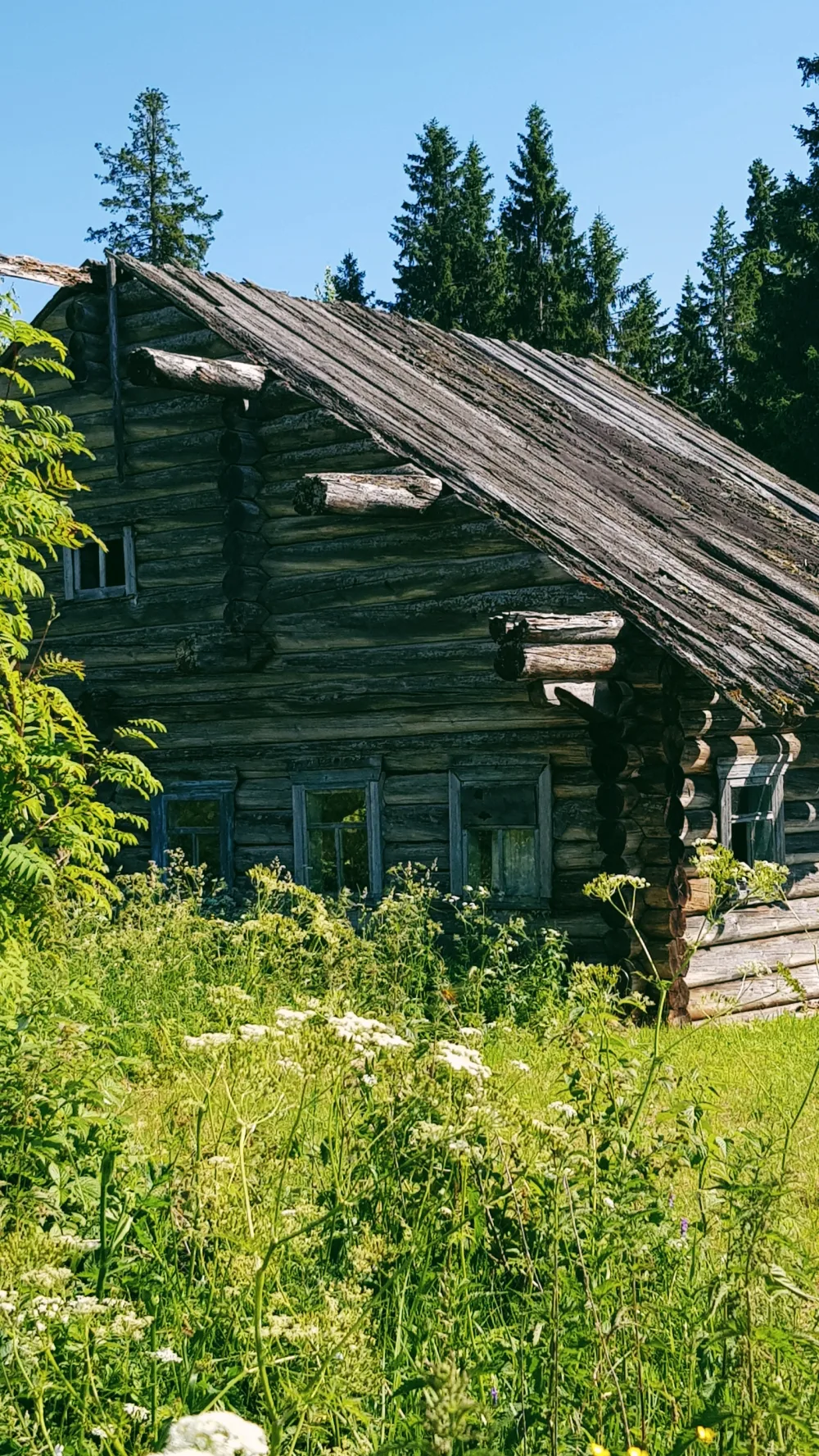 Дом жилой Дорофеевых