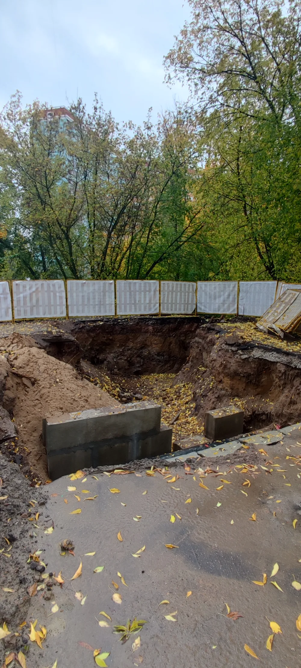 Село Свиблово