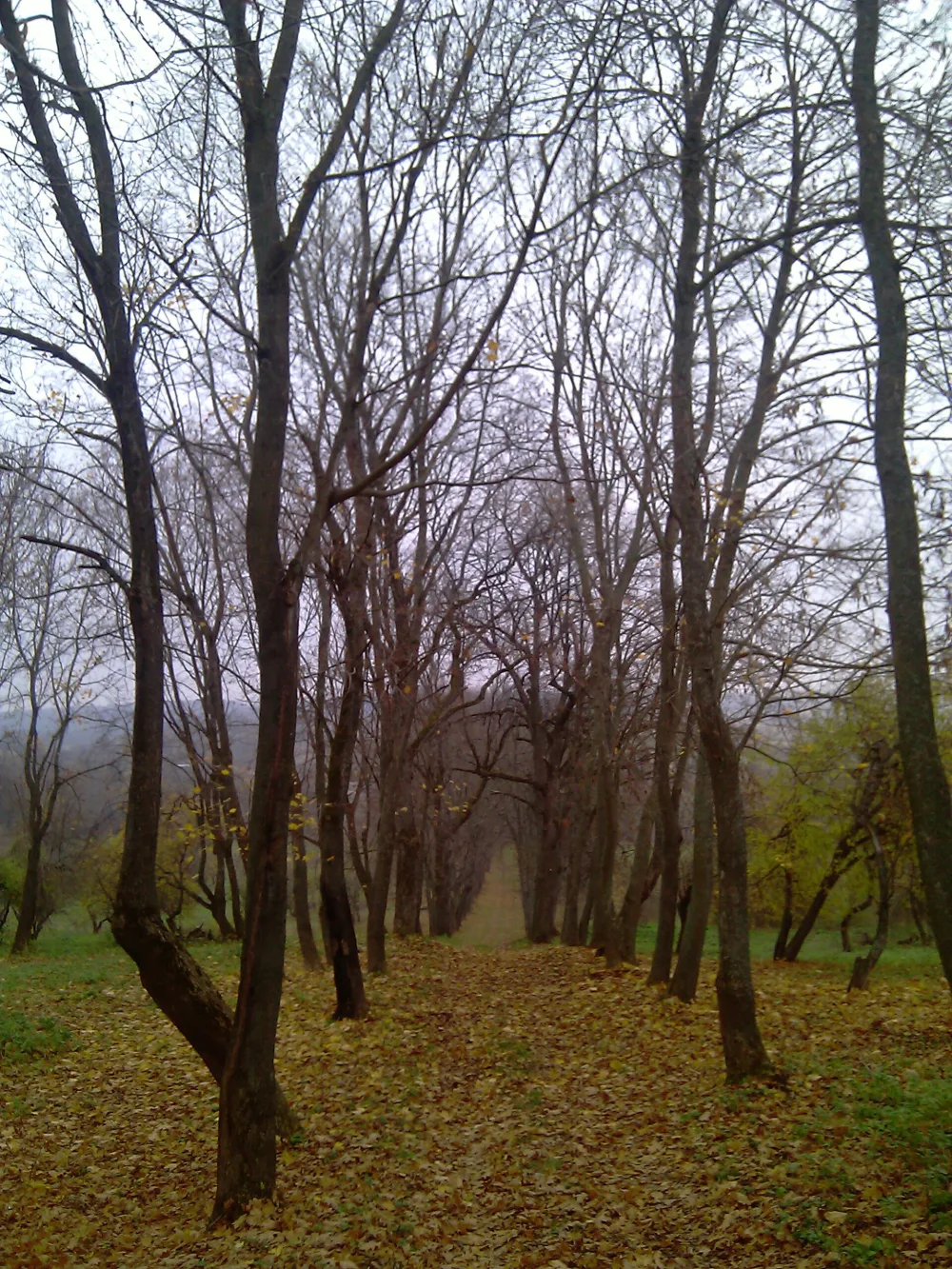 Парк