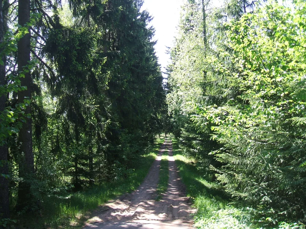 Сад (в исторических границах — 10,3 га)