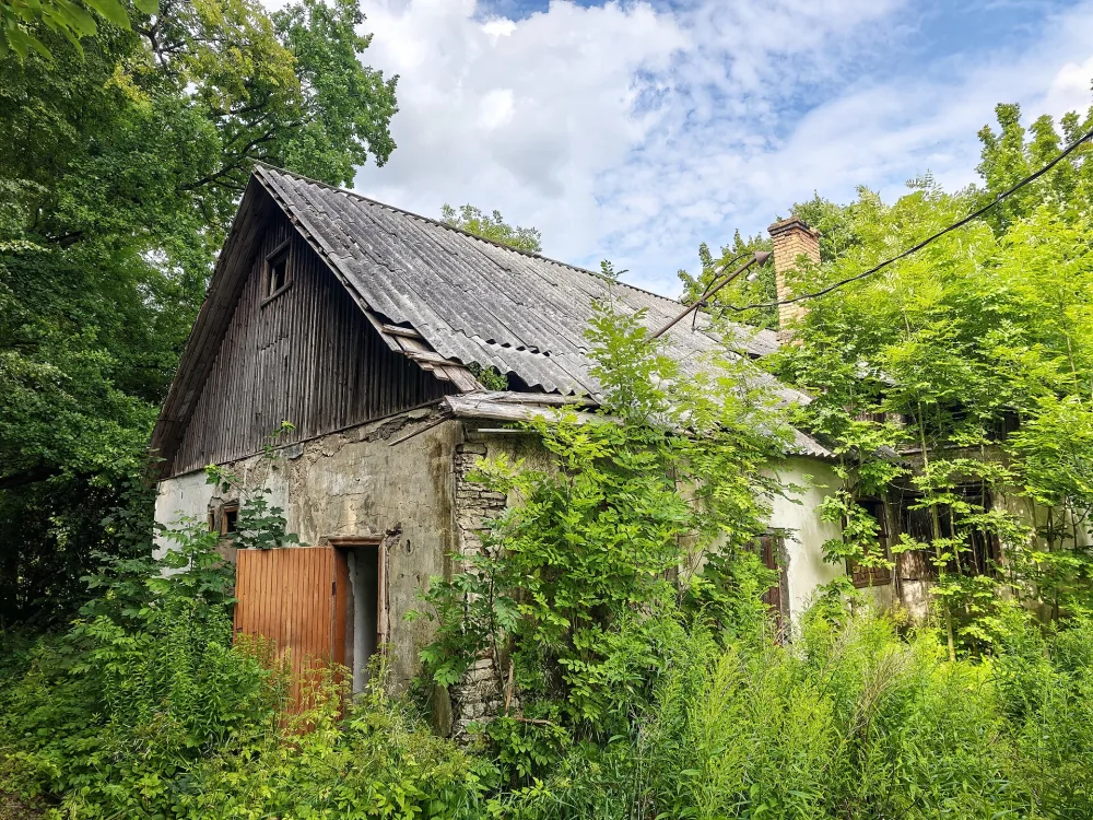 Жилой дом (Старый Изборск)
