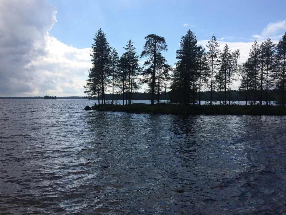 Воттомукс