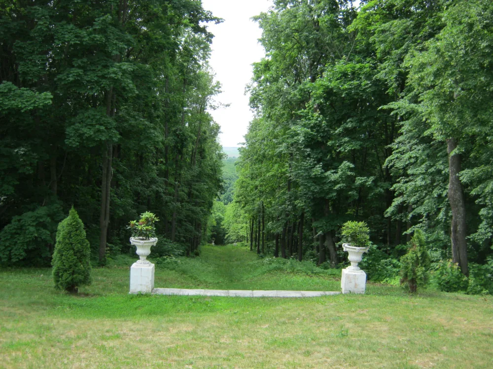Парк (Баронский)