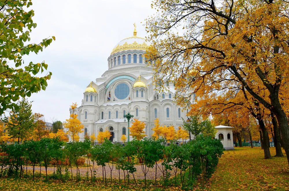 Сад (2,46 га)