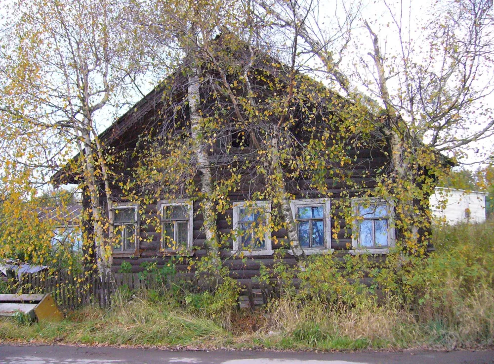 дом Лузгина
