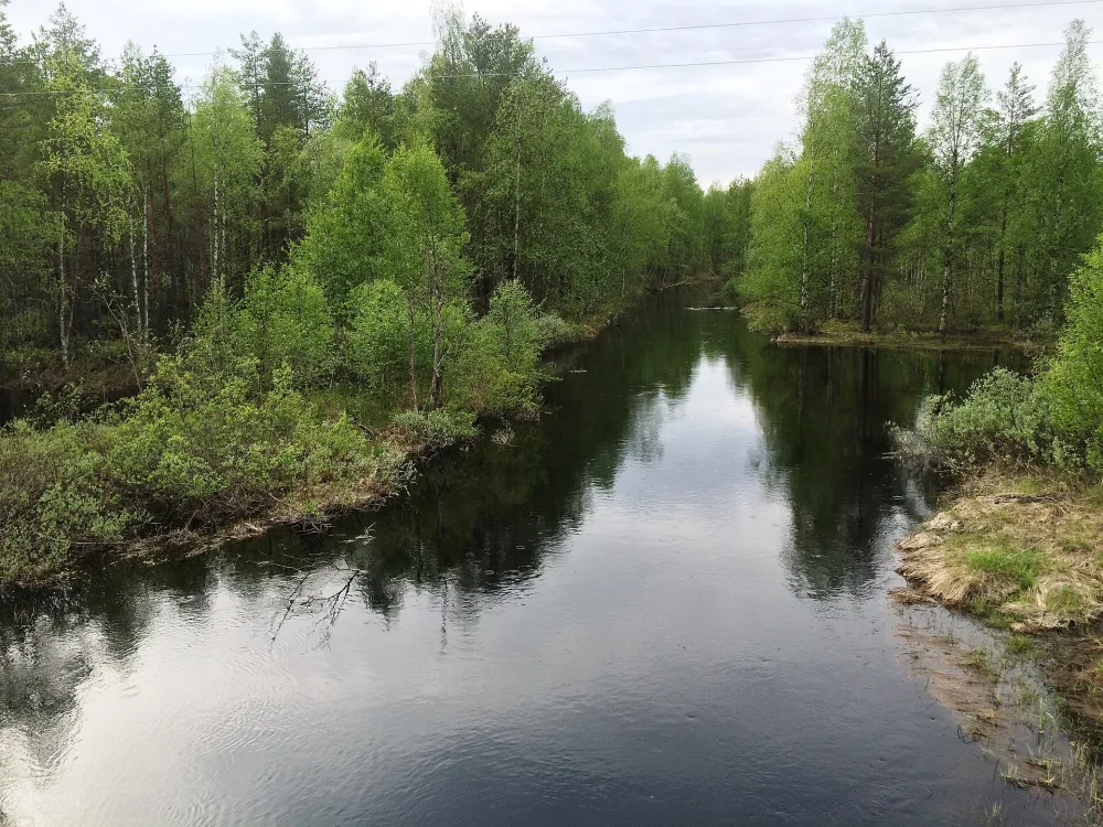 Хедь