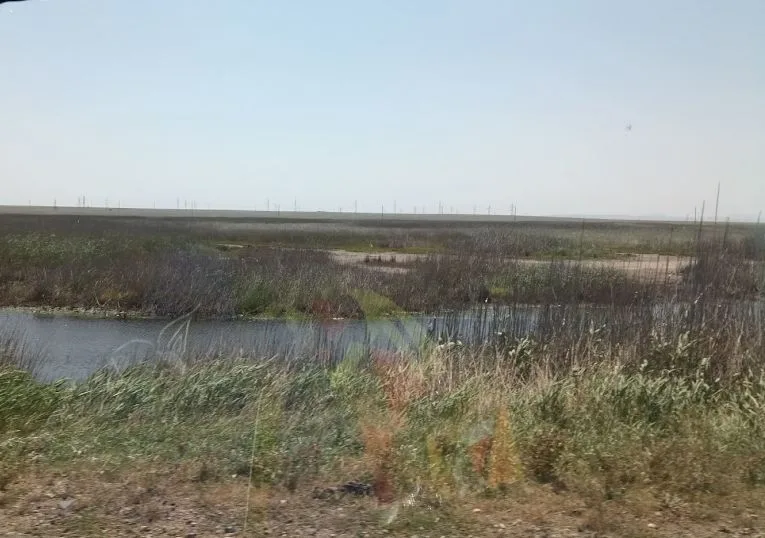 Парпач-Коль