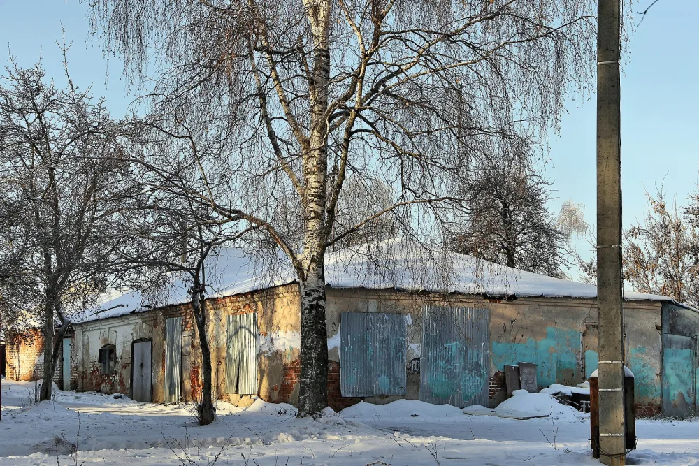 Хозяйственные постройки