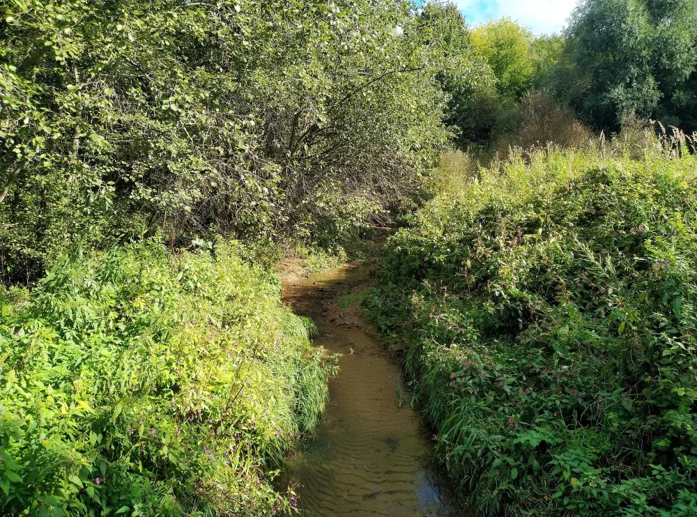 Братовка