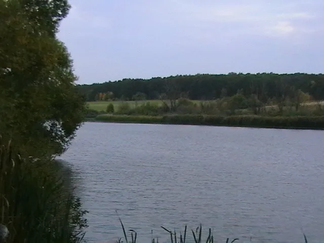 Серебрянка