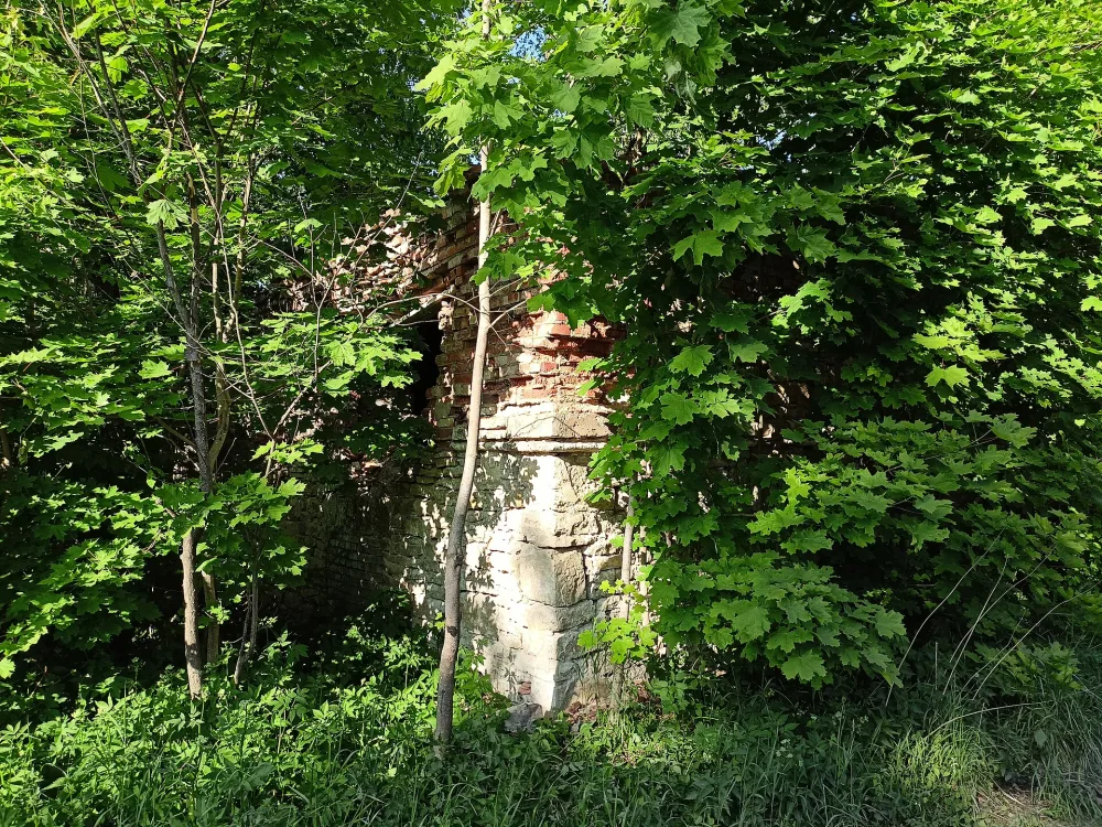 Конюшня (Дылицы)