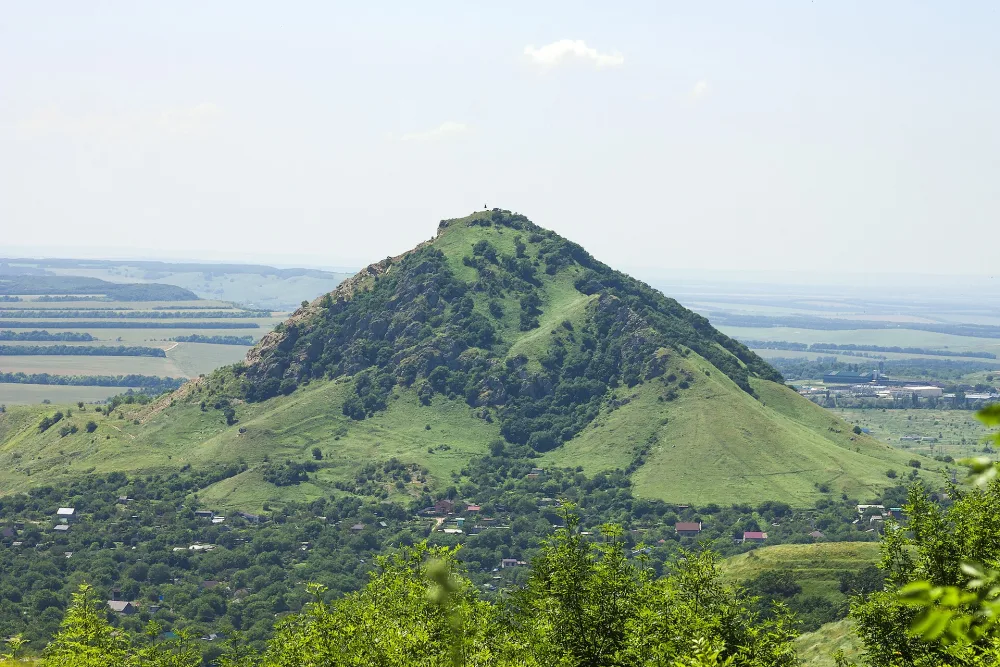 Шелудивая