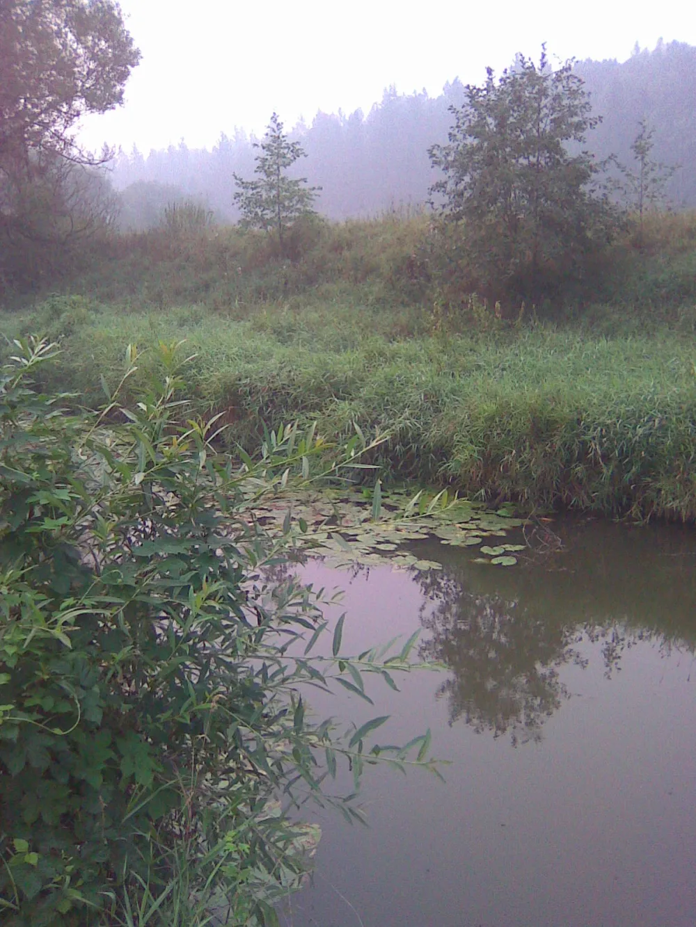 Локнаш