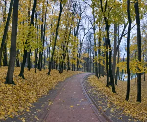 Парк Царицыно