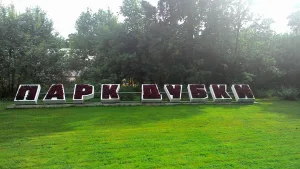 Дубки