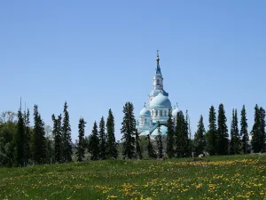 Пихтовая аллея (аллея одинокого монаха) (Сортавальское г.п.)