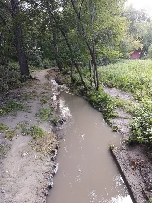 Чербузы