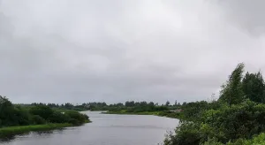 Большая Ельма