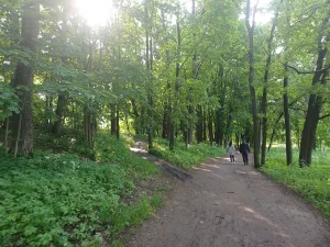 Парк
