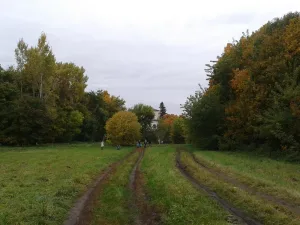 Парк