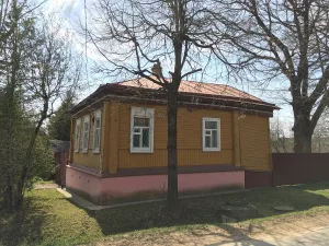 Дом Митюшиных