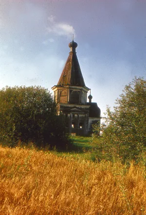 Церковь Святителя Николая (Волосово (Петуховская))