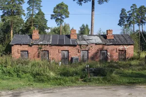 Одноэтажный каменный дом