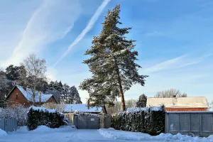 Усадьба Грузинских (Шорыгиных)