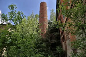 Дымовая труба (Стёпанцево)
