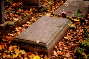 Могила О.А. Баклунда (1846-1916), астронома