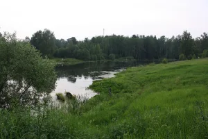 Парк с прудами