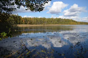 Сегдено