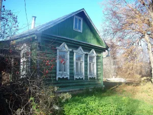 Деревянные крестьянские дома по улице села