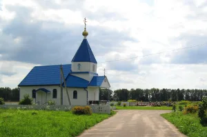 Свято-Александро-Невская церковь (Турец-Бояры)