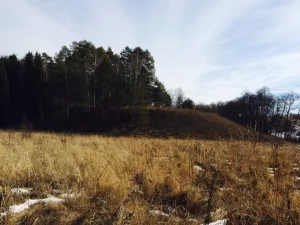 Городище «Ичское»