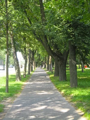 Бульвары по бывшей Санкт-Петербургской улице