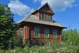 Ансамбль жилой застройки села Твердякино (Твердякино)