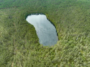 Янёлампи