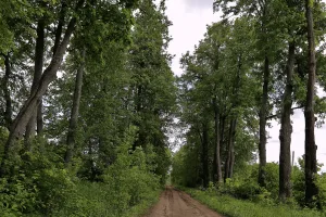Парк