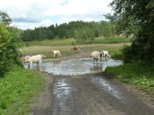 Большой Казмаш