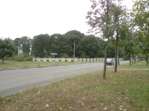 Петропавловское кладбище