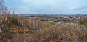 Челновая