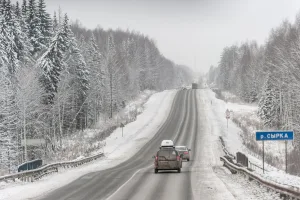 Сырка