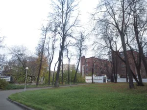 Остатки парка