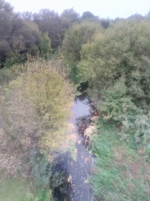 Осередь
