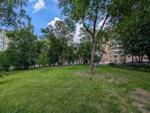 Село Ростокино